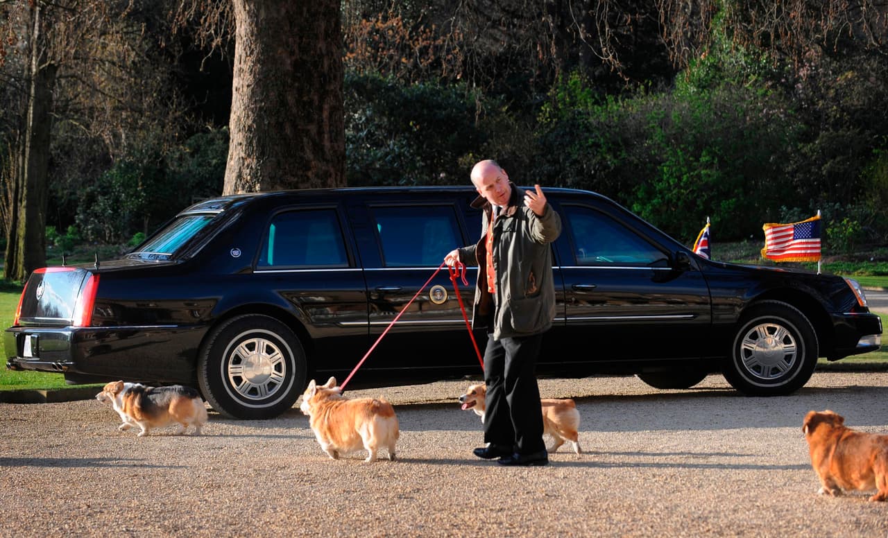 Los corgis de la reina Isabel II pasean frente a la limousina del entonces presidente Barack Obama durante la visita oficial que hizo el mandatario estadounidense a Reino Unido en abril de 2009. Los corgis solían estar presentes cuando la reina daba la bienvenida a los visitantes en el palacio, entre ellos distinguidos estadistas y funcionarios. Cuando la conversación se apagaba, dicen reporteros especializados en la Casa Real, Elizabeth a menudo volvía su atención a sus perros para llenar el silencio.