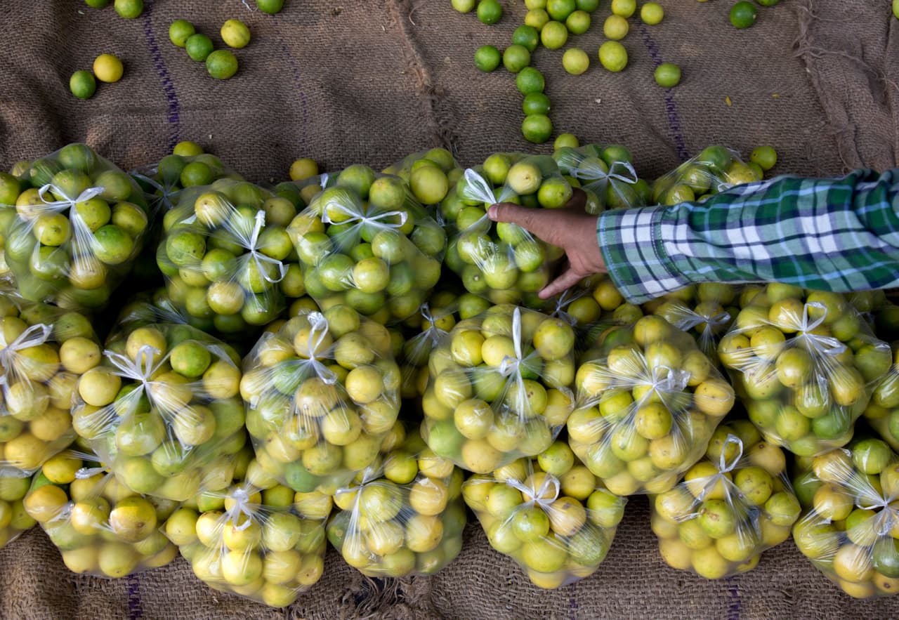 <b>Limones. </b>El presidente Trump informó que si el flujo de indocumentados hacia Estados Unidos no se detiene, los aranceles aumentarán a 10% el 1 de julio de 2019 y, con incrementos mensuales escalonados, podrían llegar hasta 25% para el 1 de octubre de 2019.