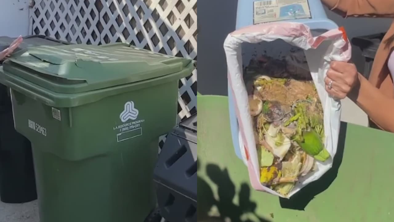 No botes las sobras de la cena de Acción de Gracias: aprende a compostar los residuos