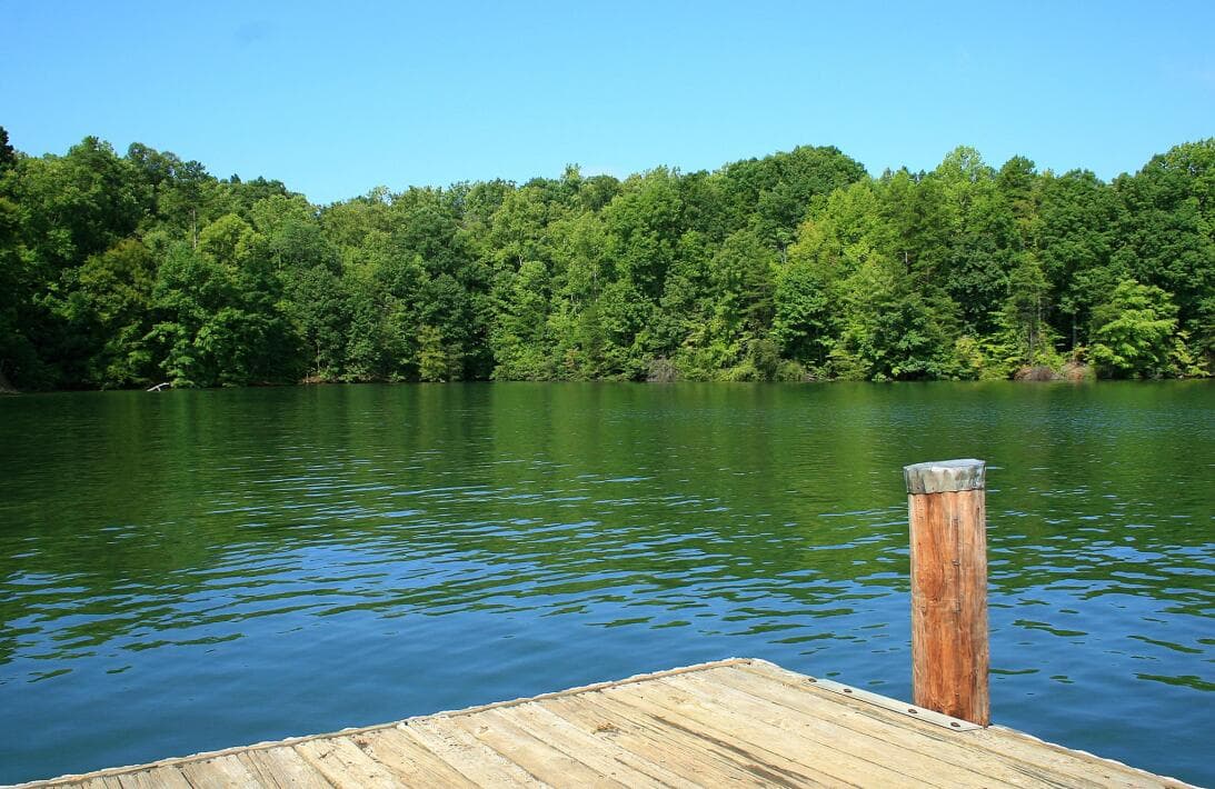 <a href="https://www.univision.com/local/north-carolina-wuvc/lake-norman-para-muchos-uno-de-los-mejores-lagos-de-carolina-del-norte-fotos"><b>RELACIONADO: Descubre el Lake Norman, para muchos uno de los mejores lagos de Carolina del Norte</b></a>