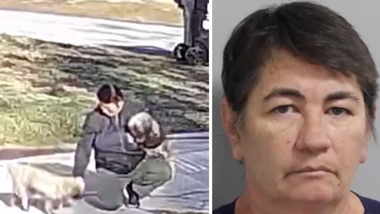 Captan en video a "secuestradora" de perros en Florida