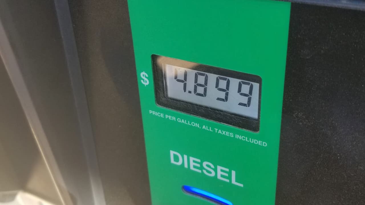 Así encontró el precio de Diesel Roland Rays.