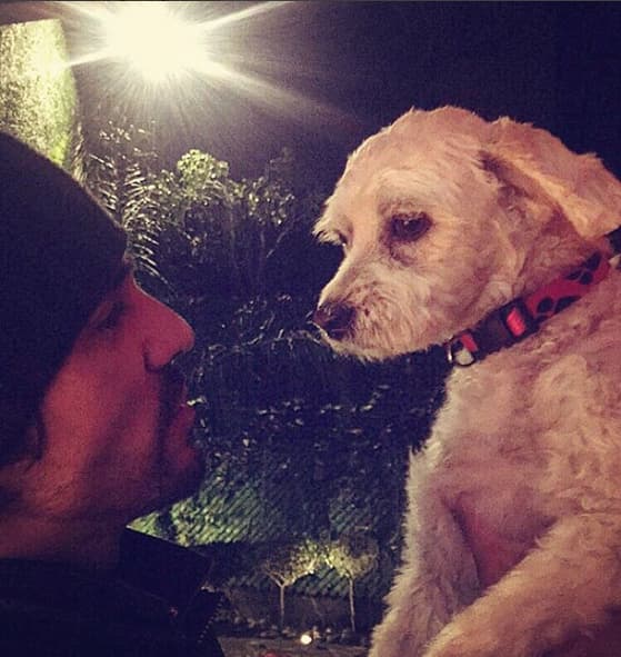 Y es que publicó en su cuenta de Instagram que adoptó a un perrito: "Les presento a "ASLAN" el nuevo integrante de la familia... Lo rescatamos de la calle y hoy tiene un hogar #AdoptaNoCompres".