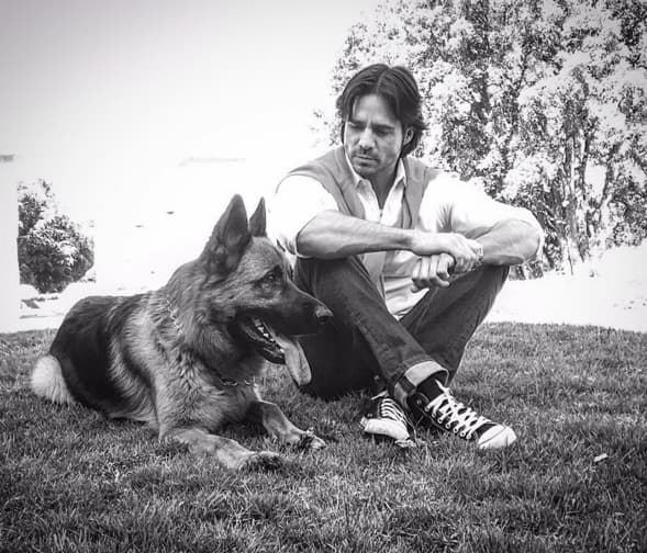 José siempre promueve la adopción, además cree que los perros son 'angelitos con colita'.