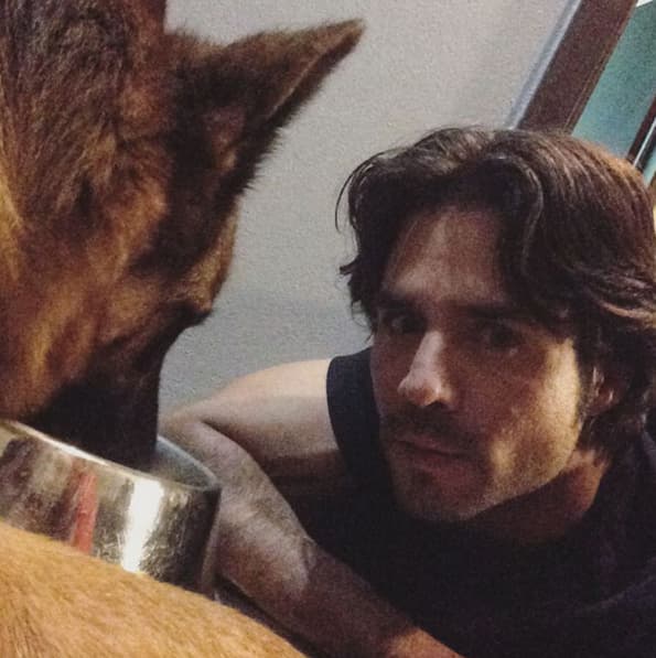 Cuida que su perro esté bien alimentado.