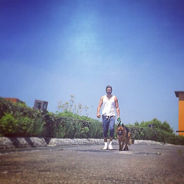 Dan largas caminatas por la ciudad.