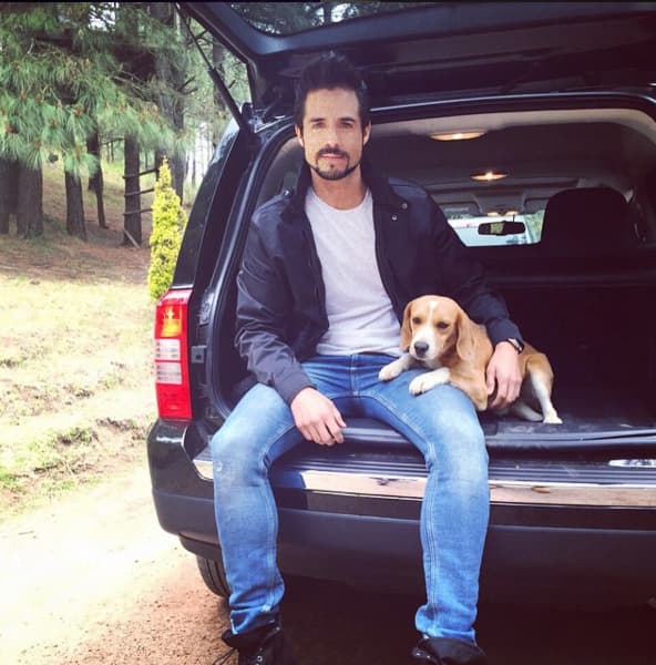 Este guapo ojiverde siente un gran amor por los animales.