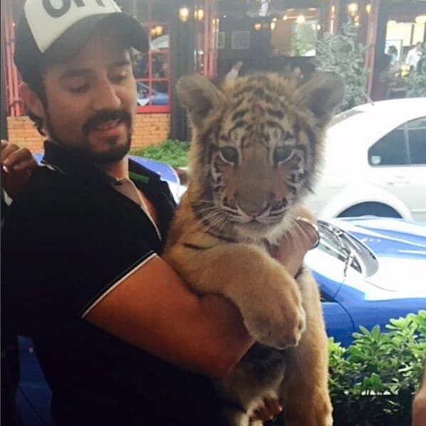 Le gusta convivir con ellos, no importa la especie.