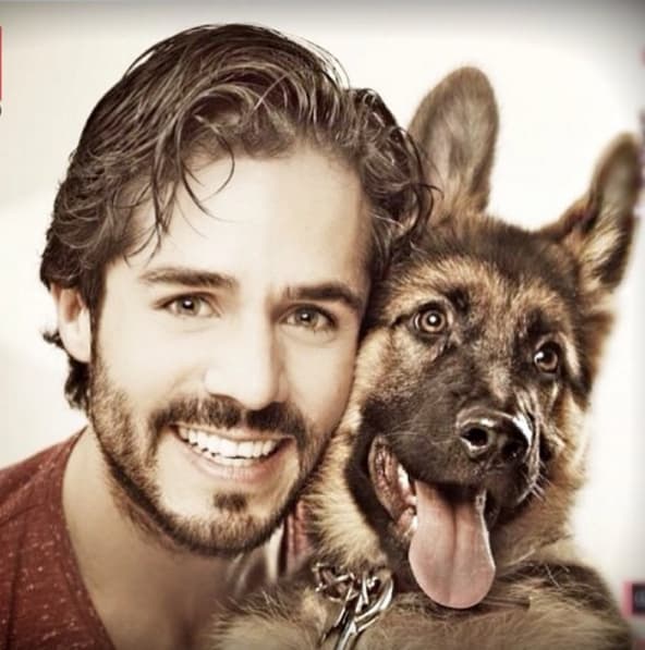 Este bello Pastor Alemán cambió su vida.