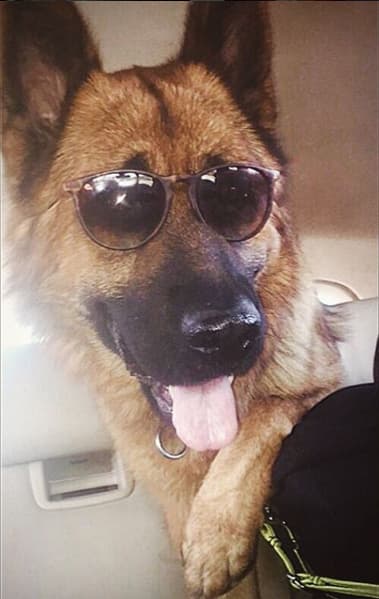 Sobre todo a su inseparable amigo 'Skiro'.