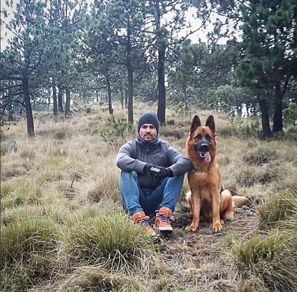 De vez en cuando van al bosque a respirar aire fresco.