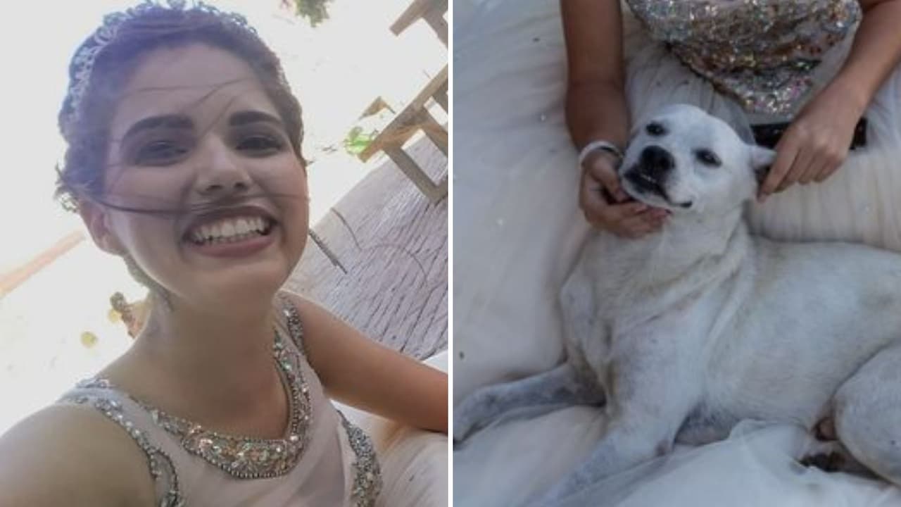Perrito callejero roba reflectores a quinceañera en su sesión de fotos: “Los XV de Firulais”