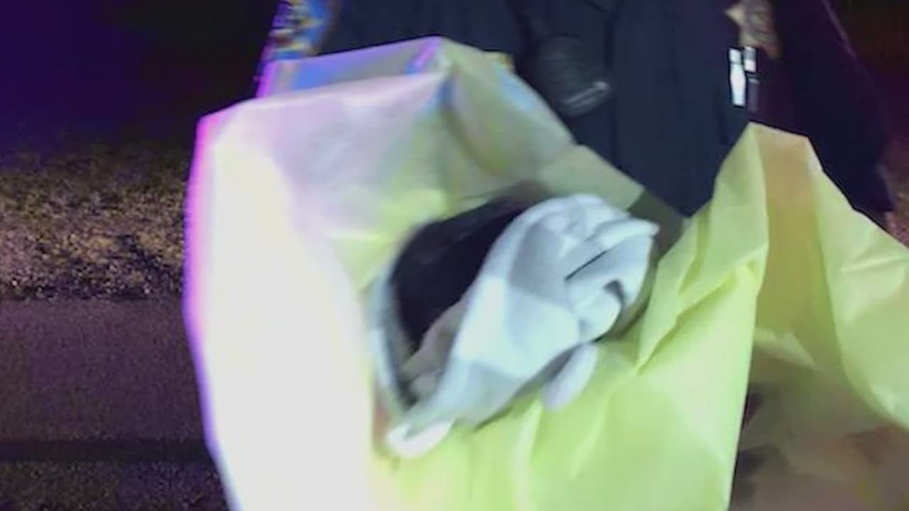 Adoptan a bebé que fue abandonada en medio de la carretera en Madera