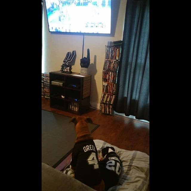 Esta noche se enfrentan los San Antonio Spurs contra los Oklahoma City Thunder con el objetivo de sacar ventaja en la serie que va 2-2. El juego se llevará a cabo en el AT&T Center, en San Antonio, la casa de los Spurs, y los fanáticos ya están tomando precauciones para animar a su equipo de manera épica.