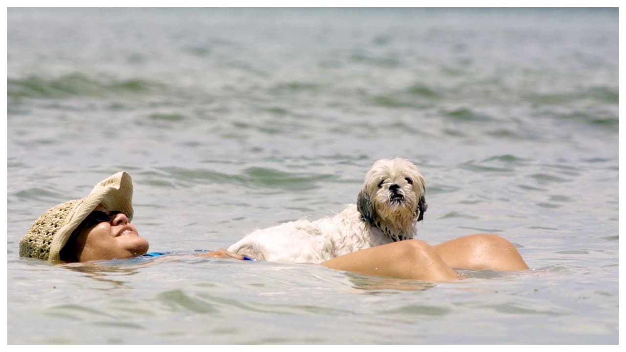 Miami rompe récord de calor para la fecha antes de la llegada de un frente frío