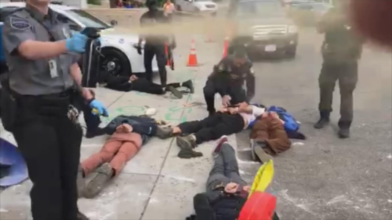 Bolas de pimienta y tasers: ¿fue legal la violencia policial en estos arrestos en una protesta contra ICE?