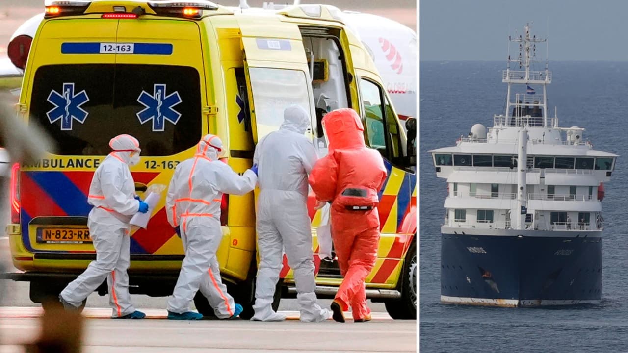California monitorea a residentes que regresaron del crucero con brote potencialmente mortal de hantavirus