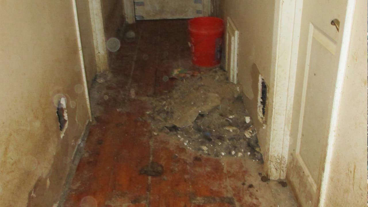 Los animales vivían entre las heces fecales y la orina que dejaban a lo largo de la vivienda. Muchos estaban sueltos, haciendo sus necesidades en cualquier sitio de la casa.