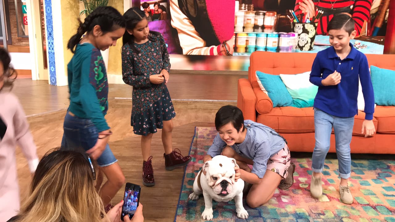 A Benito le encanta que le den amor y se dejó consentir por todos.