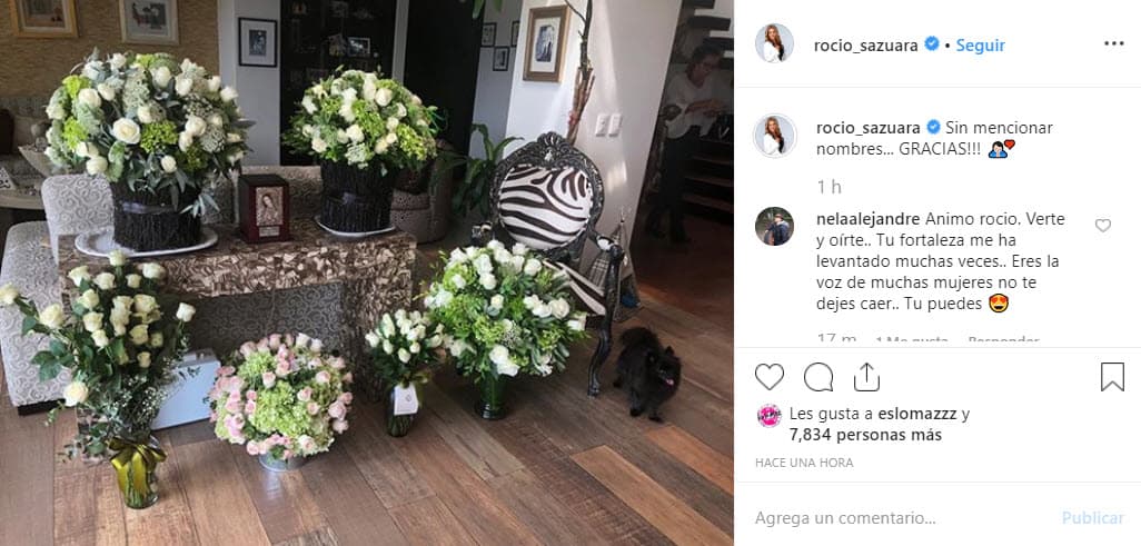 Admitió que la ausencia de su hija es algo que
<b><a href="https://www.univision.com/famosos/murio-en-mis-brazos-rocio-sanchez-azuara-detalla-que-le-paso-a-su-hija-y-revela-por-que-se-siente-culpable-video" target="_blank">"no se supera jamás</a></b>: Yo creo que aprendemos a vivir sin ellos, pero nunca se supera la pérdida de un hijo".
<br>