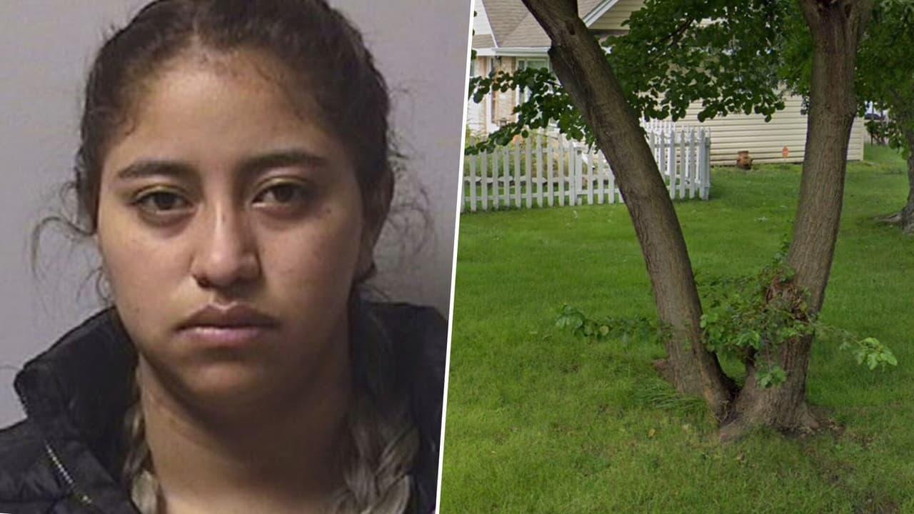 Un perro descubrió los restos: nuevos detalles sobre la joven acusada de matar a su bebé