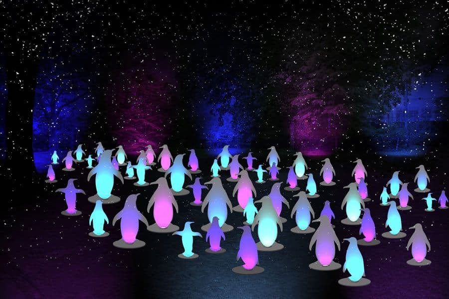 ¡Quién mejor para decir buenas noches y desear a todas las criaturas de nuestro planeta buena voluntad sino pingüinos! Cientos de pingüinos iluminados llenarán el césped del zoológico para despedir a los invitados y desearle una temporada navideña muy especial a la verdadera moda del zoológico.