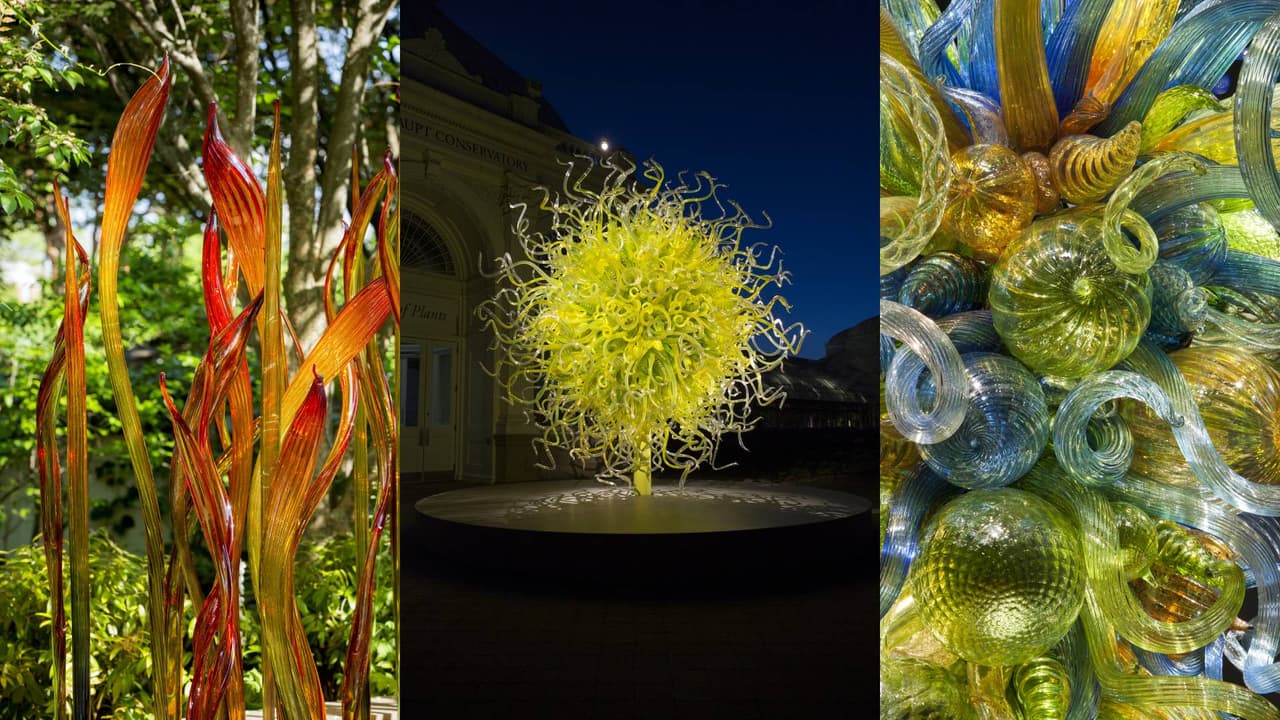 ¿La ciudad de Scottsdale te queda muy lejos? Tienes suerte. "Chihuly in the Desert" es presentado por Taliesin West y el Desert Botanical Garden y 
<a href="https://www.univision.com/local/arizona-ktvw/chihuly-in-the-desert-esta-exposicion-de-arte-llegara-a-arizona-video">ambos lugares presentan las obras</a> del artista Dale Chihuly. Para más información visita 
<a href="https://dbg.org/exhibits/chihuly-in-the-desert/2021-12-03/" target="_blank">dbg.org.</a>