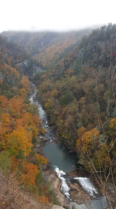 <b>Tallulah Gorge Trails</b>: Uno de los lugares favoritos de muchos para ver el color de las hojas otoñales de Georgia es el imponente borde de Tallulah Gorge. Contempla vistas vertiginosas desde el borde del desfiladero antes de descender a sus paredes profundamente talladas, cruzar un puente colgante oscilante y obtener vistas de cerca de la cascada Hurricane Falls.
