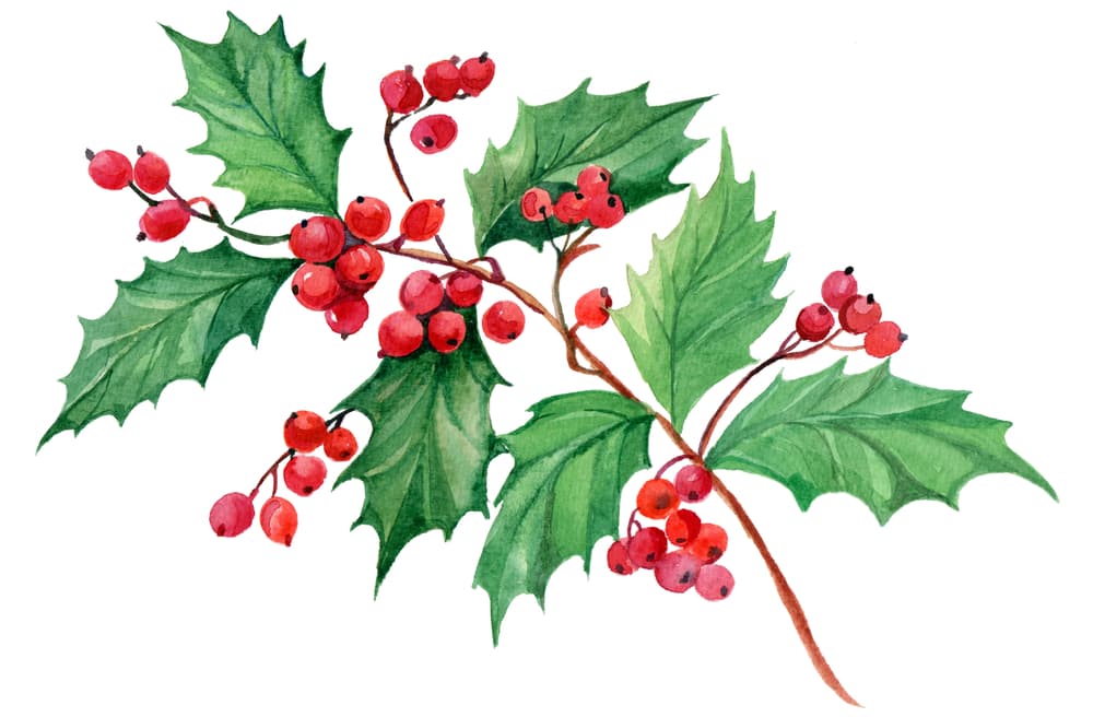 Coloca junto a las velas un arreglo de muérdago, de preferencia, que no sólo es el símbolo de la temporada, sino también para atraer buena energía y amor.