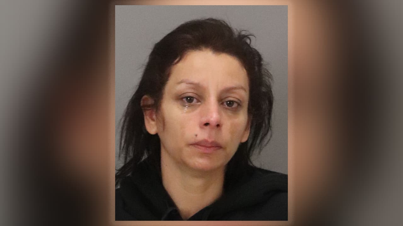 Ladrona de paquetería en Milpitas cae en la trampa de las autoridades en tan solo ocho minutos