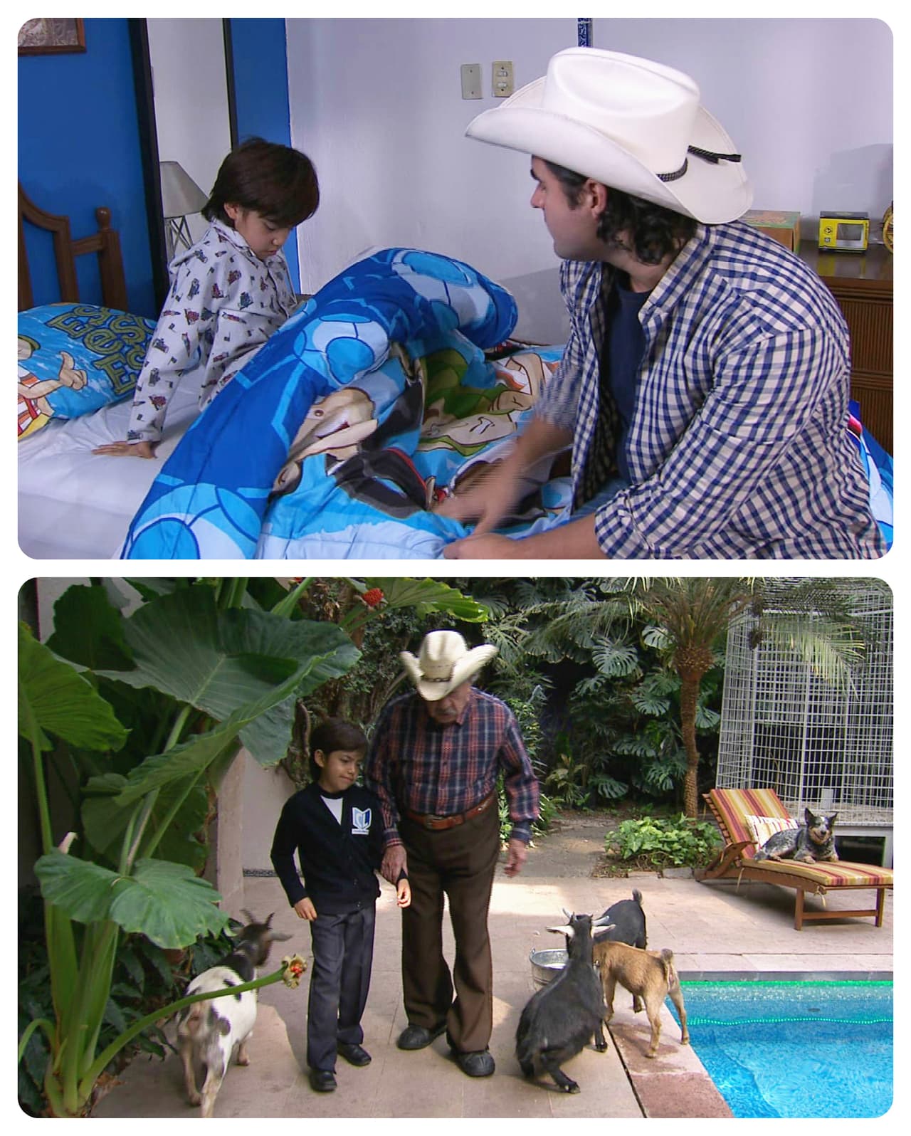 ¡Ánimo Jacinto! Tus papis pronto hallarán la solución a tanto conflicto.