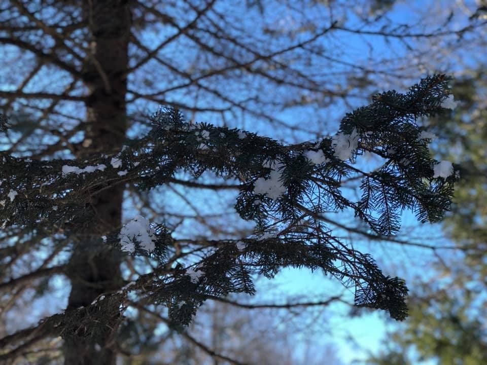 Cualquier época del año es perfecta para visitar Pocono Mountains, a corta distancia de las ciudades más importantes de la costa este. Esta región repleta de 
<a href="https://www.poconomountains.com/about-the-pocono-mountains/pocono-mountains-history/">historia</a> ofrece recorridos culturales y muestras de arte durante todo el año, una gran cantidad de tiendas de marca y de antigüedades, y un calendario completo de festivales que muestran el patrimonio, la música y la comida de Pocono Mountains.