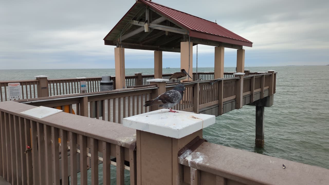 Para pasar hasta el final del muelle se debe pagar $1 dólar por cada adulto en la tienda de artículos de pesca.