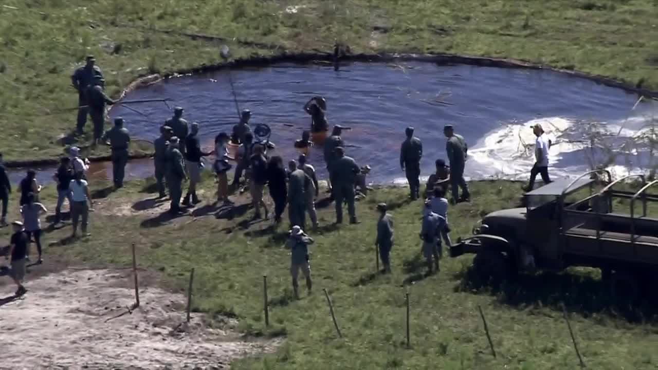 Policía de Doral advierte que hay disparos y explosiones en la ciudad 