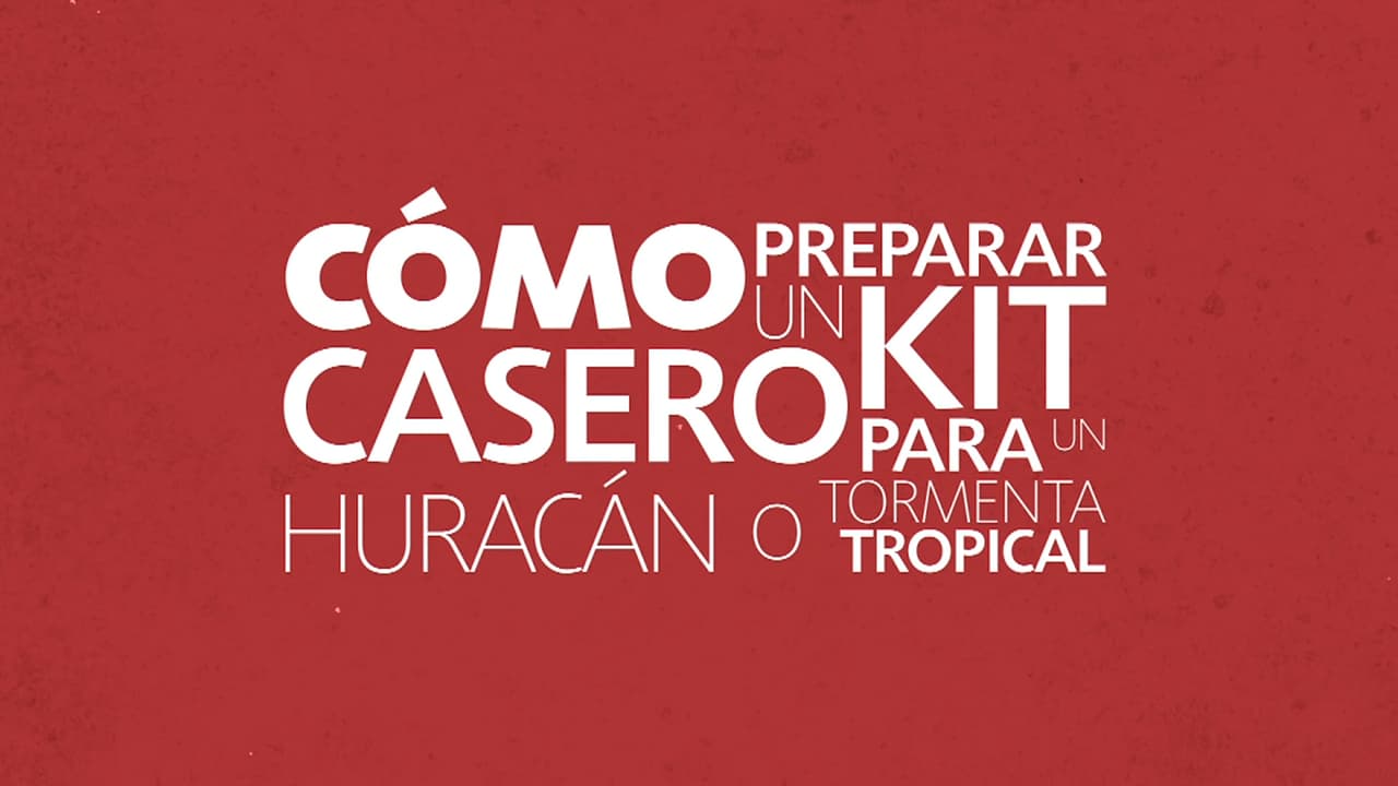 Agua, comida no perecedera y bolsas plásticas herméticas para conservar documentos importantes son algunos de los elementos que necesitas para preparar un kit casero para huracán.