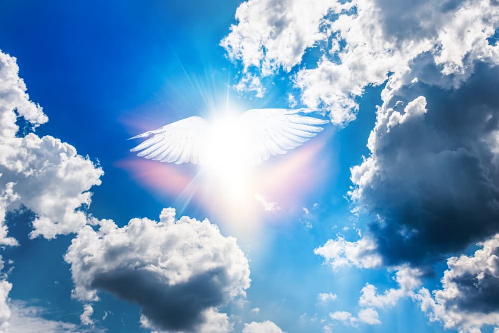 <i>Ayúdenme siempre a entender los aprendizajes que esta situación trae consigo para así poder evolucionar de la manera correcta y poder cumplir a cabalidad mi misión. No permitan que me desvíe del camino que me llevar</i>á
<i> a la luz. </i>