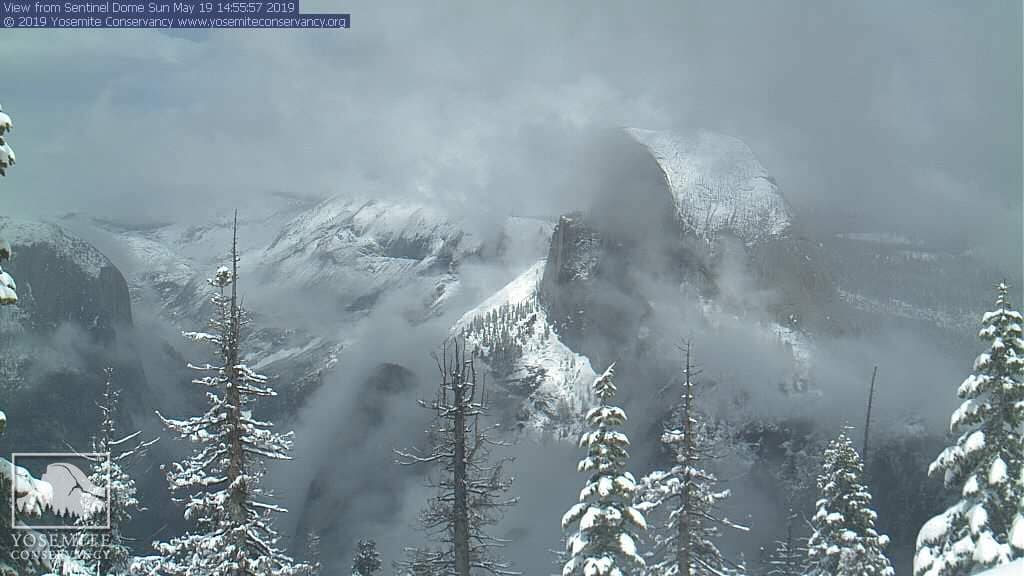 El Parque Nacional Yosemite compartió algunas estampas de lo que fue la tormenta de nieve durante el domingo 19 de mayo.