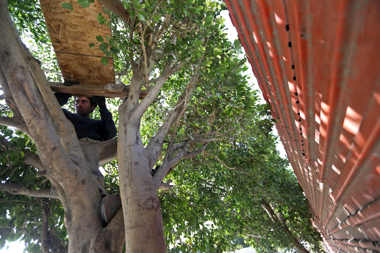 Joaquín, un chef de 36 años de Guatemala que afirma fue deportado de Estados Unidos, construye con paneles de madera una casa en un árbol junto al muro fronterizo. "He intentado cruzar tantas veces que los guardias de seguridad (estadounidenses) hasta me conocen, pero nunca he podido regresar", dijo el hombre que ahora se gana la vida recogiendo basura que vende a una planta de reciclaje.