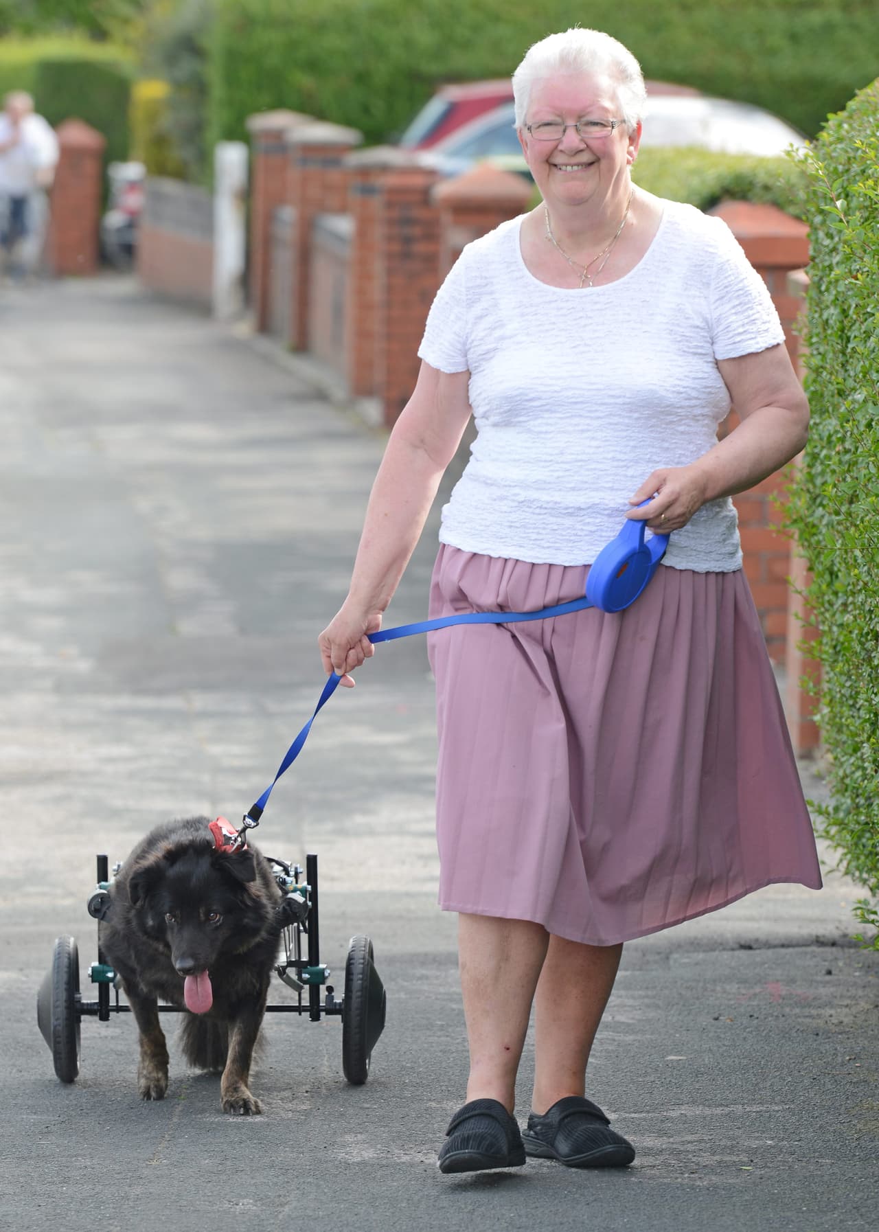 ¡Ya tiene su propia silla de ruedas!