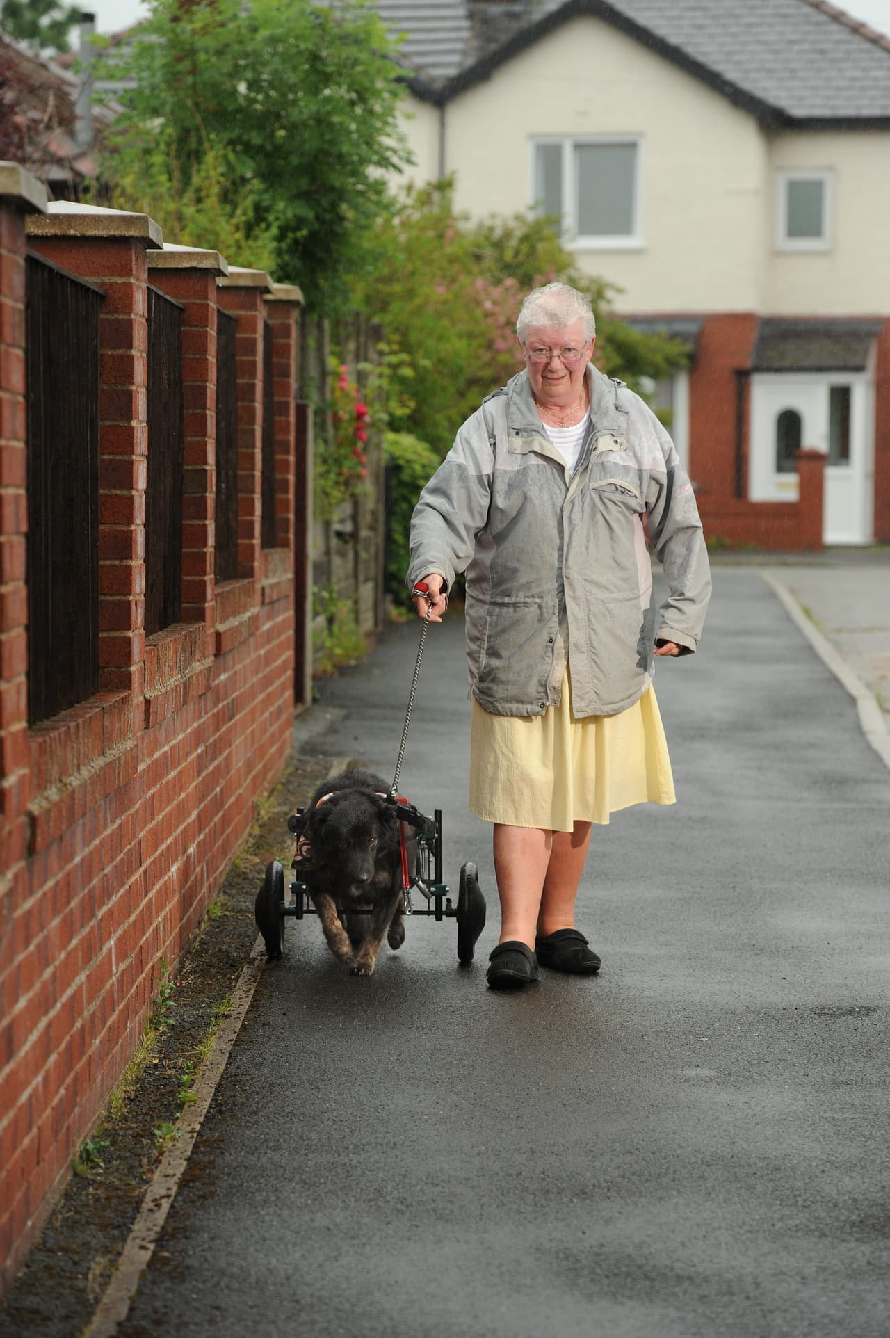 Durante un tiempo, el perro tuvo que arrastrarse para lograr moverse.