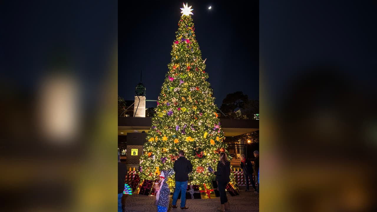 El zoológico se iluminará desde el 26 de noviembre hasta el 12 de enero del 2020.
