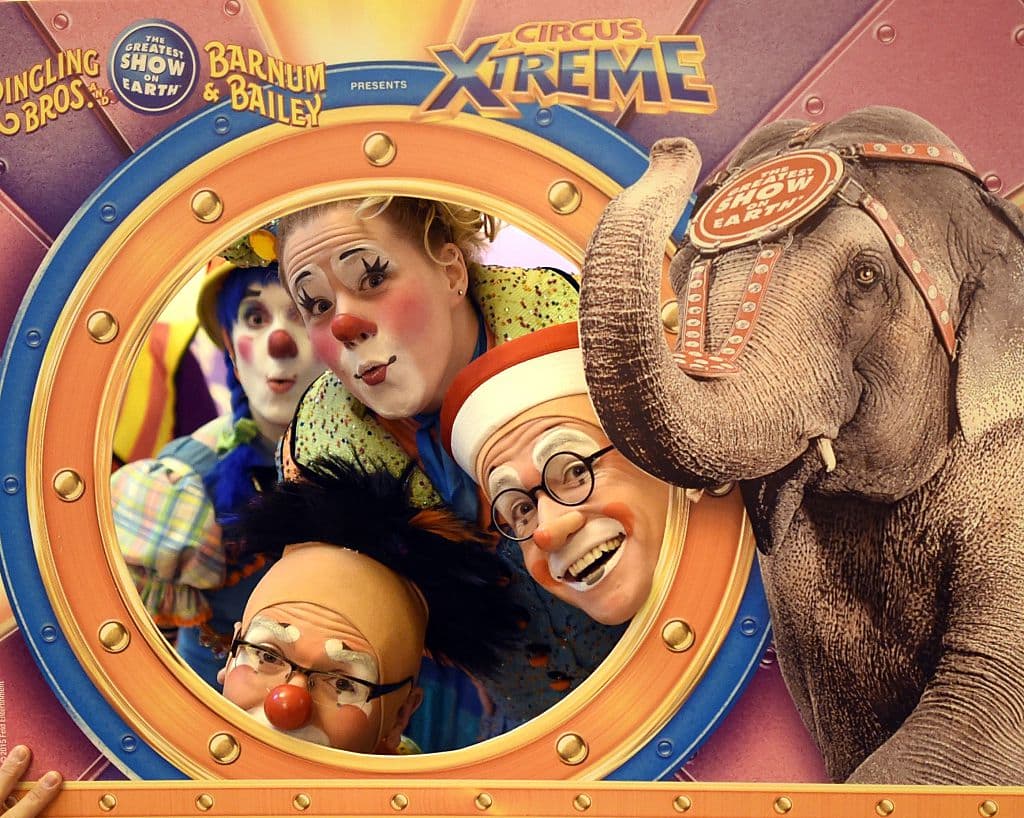 Feld invitó al público a disfrutar por última vez del espectáculo. “No es sólo nuestra empresa familiar, sino también su tradición familiar”.