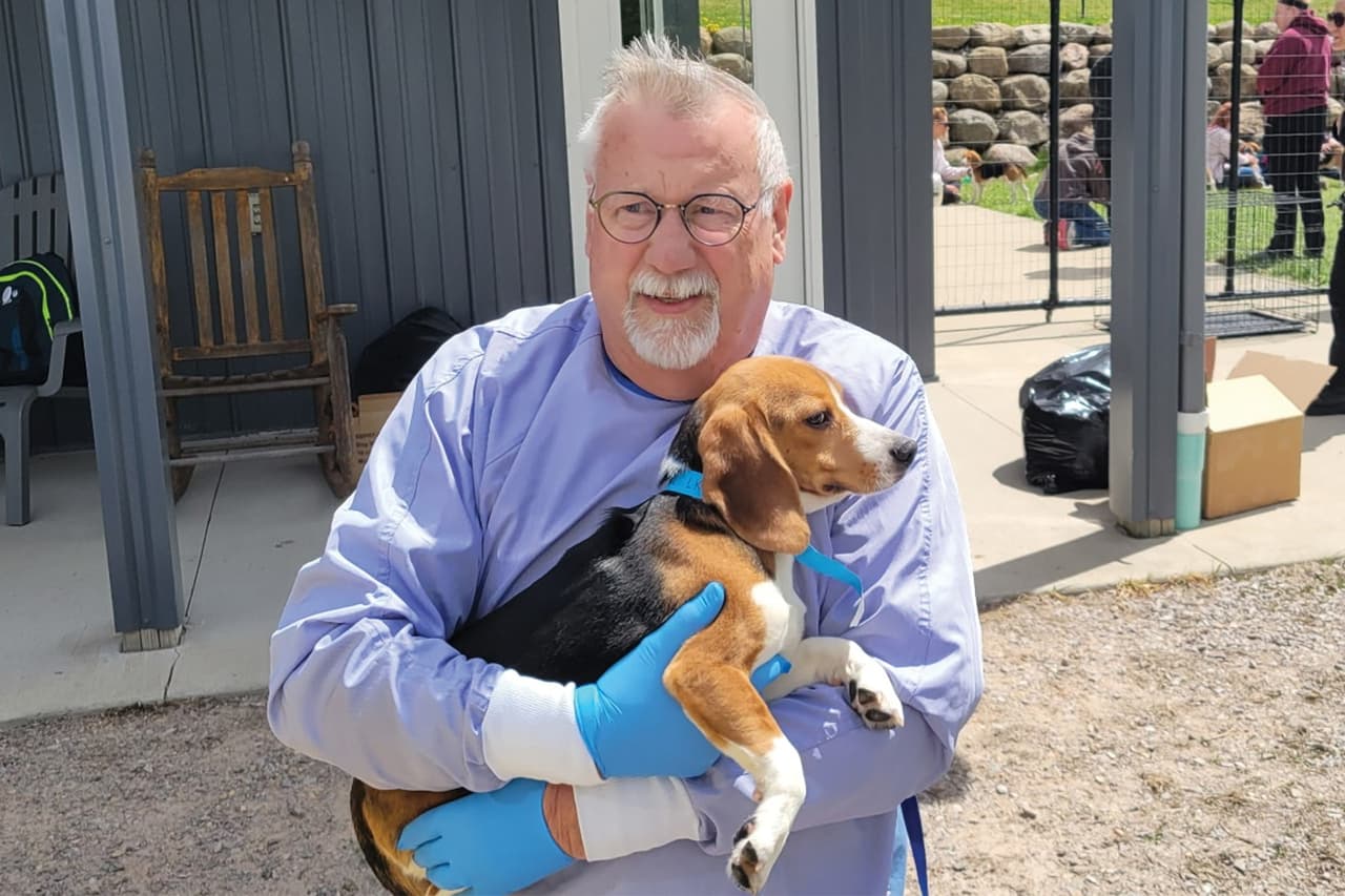 <b>¿Por qué se usan beagles en laboratorios?</b>
<br> 
<br>Los beagles son la raza preferida en pruebas de laboratorio por varias razones: 
<b>su tamaño pequeño o mediano los hace fáciles de manejar, y su temperamento dócil y confiado facilita los procedimientos.</b>
<br>
<br>Además, cuando sienten estrés o dolor, tienden a quedarse inmóviles en lugar de resistirse, lo que los convierte en sujetos más “manejables” para los técnicos,
<b> <a href="https://www.univision.com/noticias/estados-unidos/protesta-masiva-por-beagles-en-wisconsin-termina-con-enfrentamientos-uso-de-gas-pimienta-y-arrestos" target="_blank">algo que muchas catalogan como crueldad animal. </a></b>