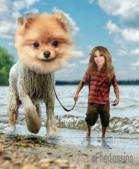 Desde que se dio de alta en sus redes sociales no ha dejado de subir fotos divertidas como esta, en la que no se sabe quién pasea a quién.