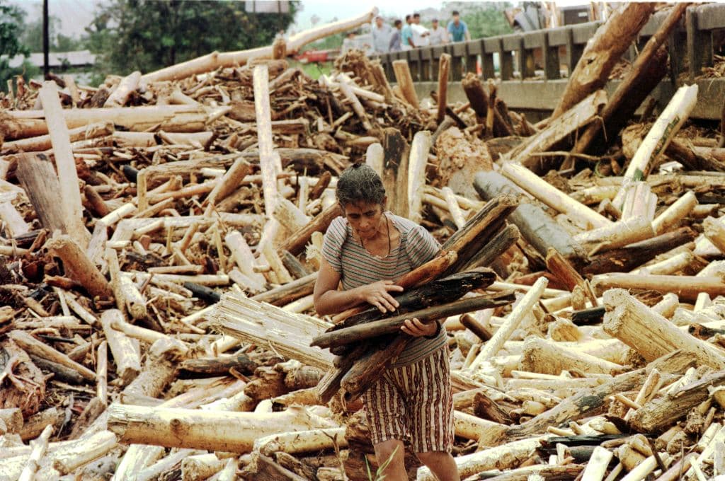 A homeless woman picks up some wood October 31, 1998, from a pile of uprooted trees left from the passage of hurricane Mitch in Tocoa, in the district of Colon, northern Honduras. Hurricane Mitch, once a category five hurricane, was downgraded to a tropical storm October 29.