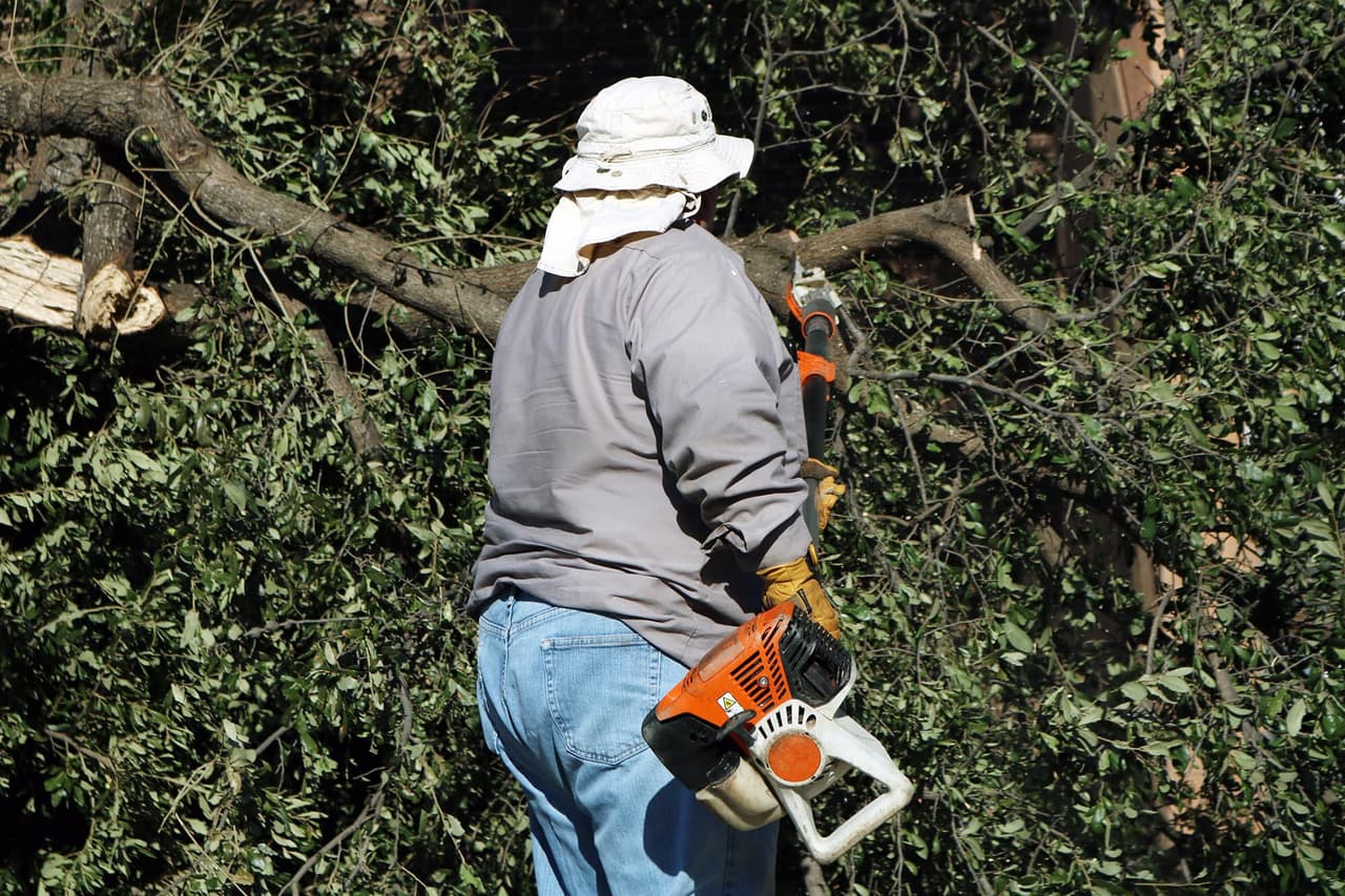 La Agencia Federal para el Manejo de Emergencias (
<a href="https://www.fema.gov/media-library-data/1415728011694-154f9646e5c535f8a8cdd80cbfce8963/FEMA_Playbook_Tornado_V10_ES-US_508.pdf" target="_blank">FEMA</a>) brinda apoyo financiero y más, para personas que han sido afectadas por el desastre.
<br>