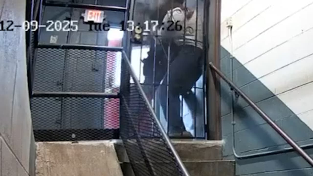 Agente de ICE empuja a un ciudadano estadounidense para detenerlo por tener “aspecto de somalí”