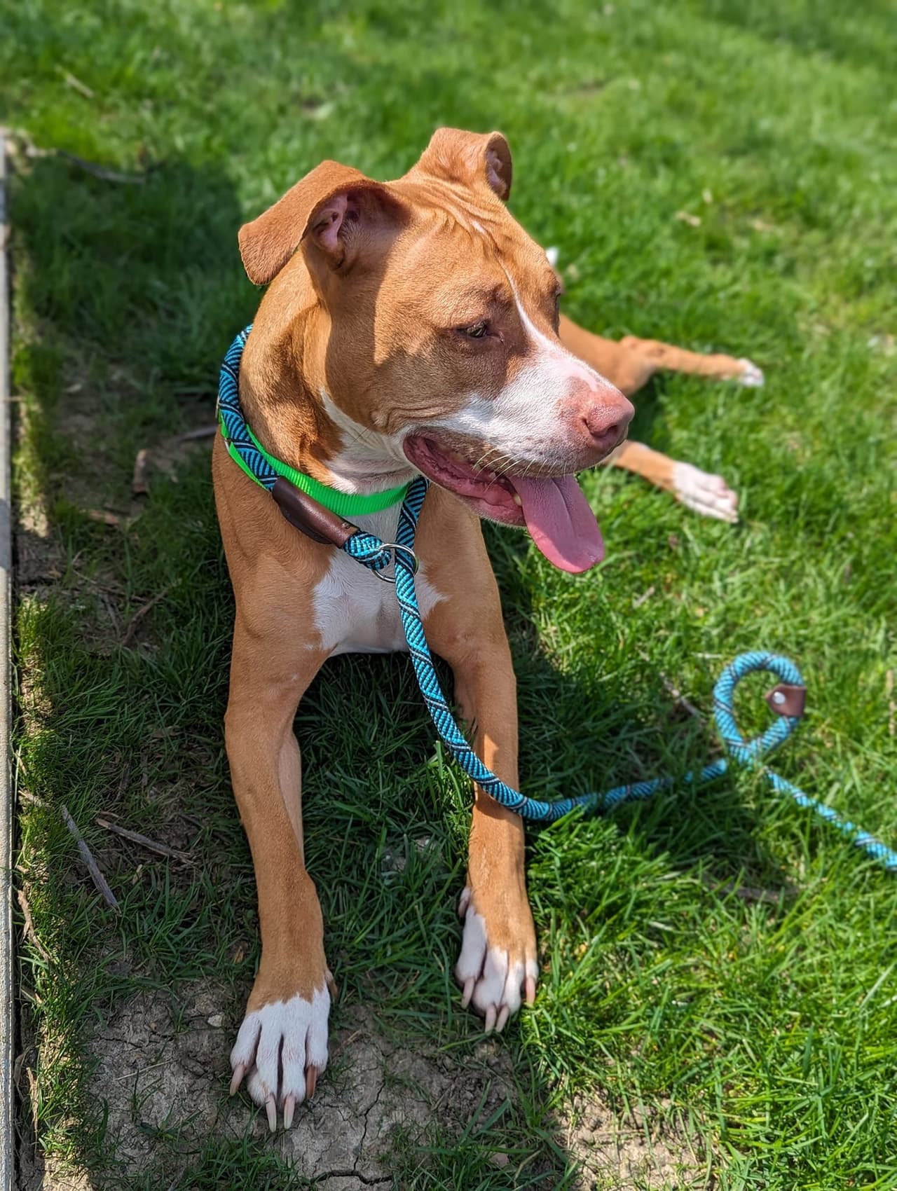 Ella es Paris, y tiene 3 años. La definen como muy adorable.