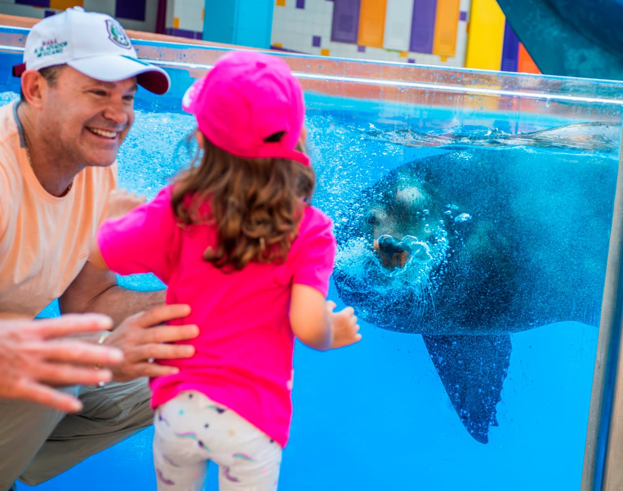 Alan no podía ocultar su emoción al ver a su hija Michelle disfrutando de las maravillas de la naturaleza.