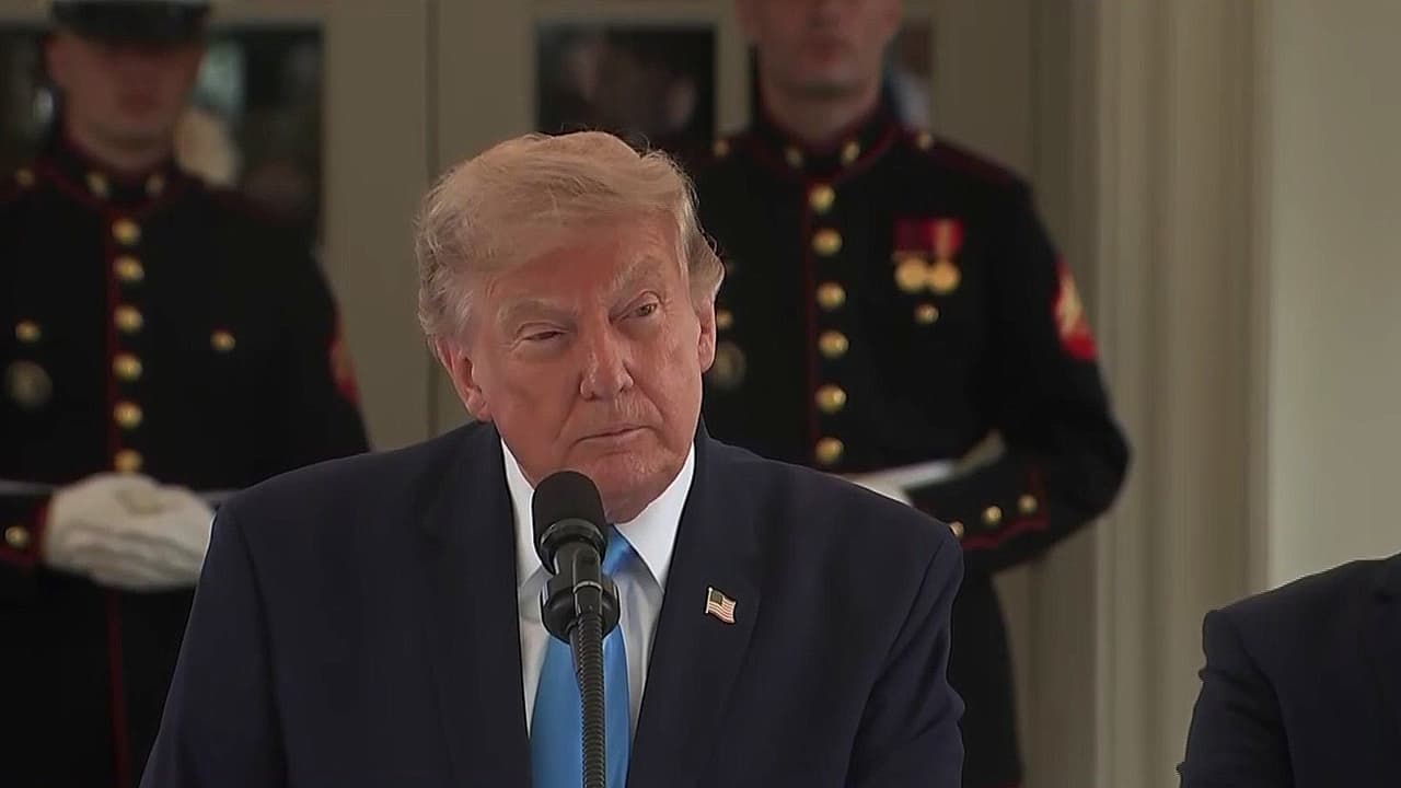"Los vamos a reemplazar con veteranos": Donald Trump sobre el programa de transporte Freedom Haulers